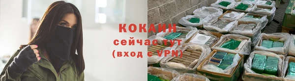 ГАЛЛЮЦИНОГЕННЫЕ ГРИБЫ Ачинск