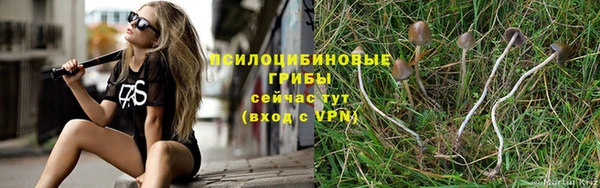 дурь Аркадак