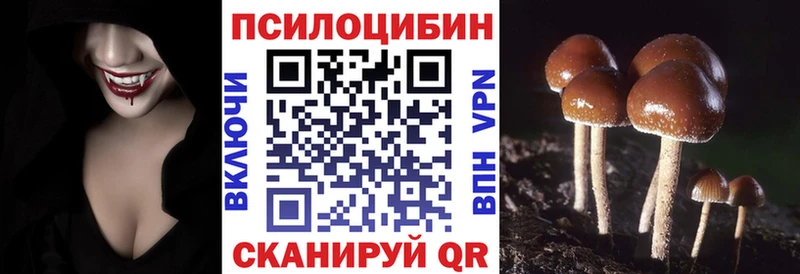 цена   Балашов  Галлюциногенные грибы прущие грибы 